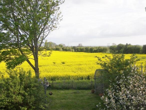 VIEW FROM BEDROOM ON