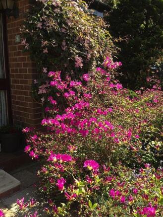 Photo 22