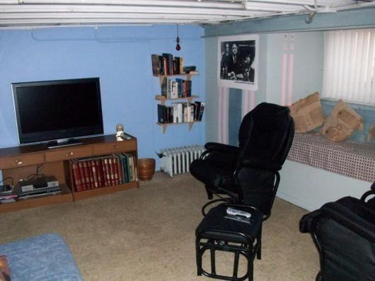 Den/Playroom