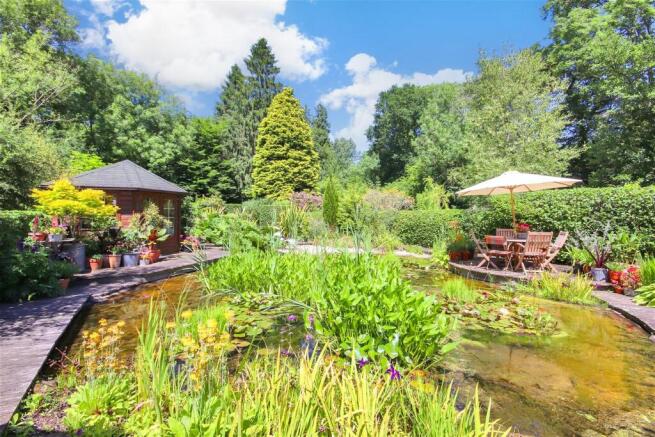 Lifestyle Pond