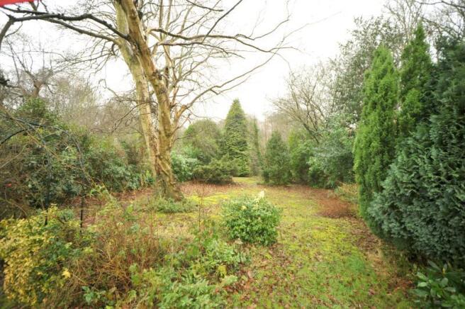 Garden 3