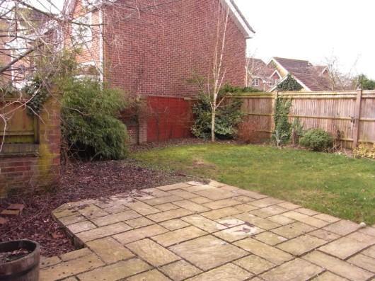 Patio Area