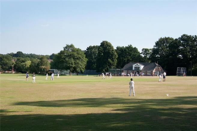 Cricket Ground