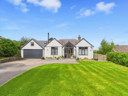 Veronica, Alders Lane, Matlock DE4 5FB