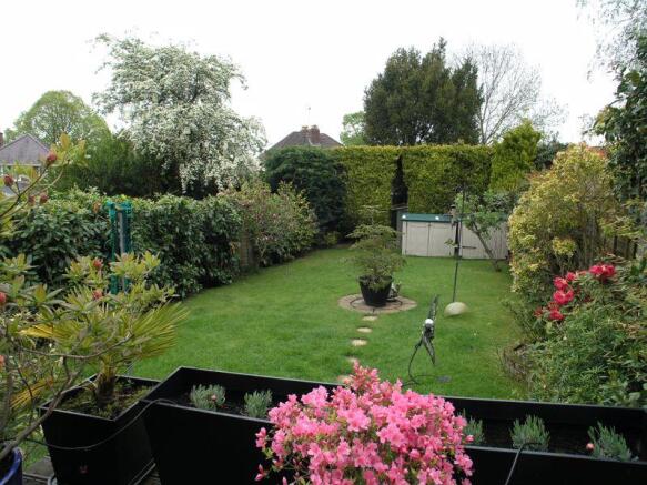 Photo 15