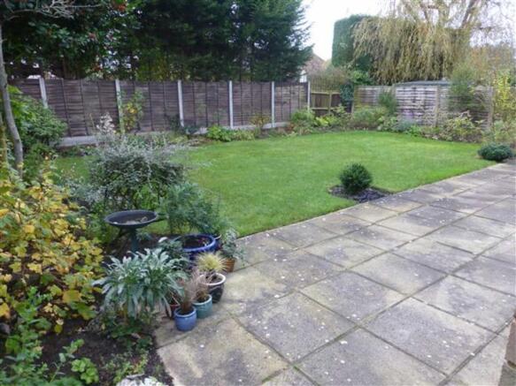 Photo 10