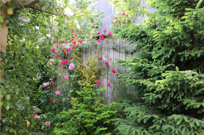 Summer Front Garden