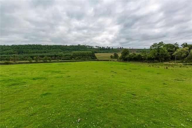 Field