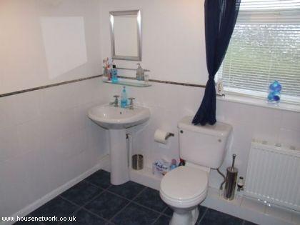 Photo 38