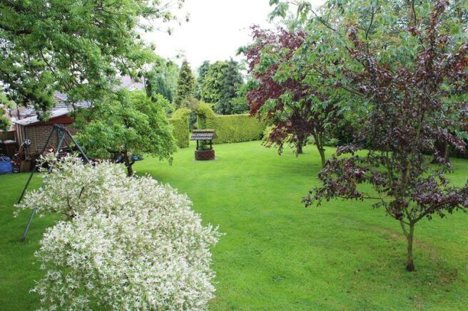 Overall garden view