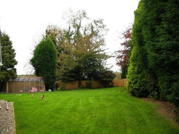 garden