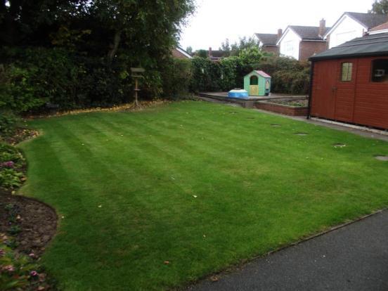 Garden