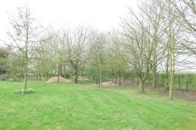 Woodland