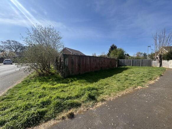 3 Medium T202504151134.jpg