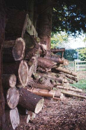 Logs side view