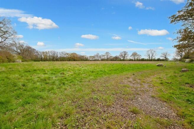 Bottom Field...jpg
