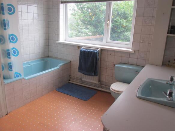 Photo 11