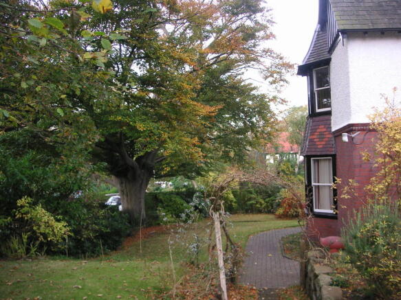 Photo 35