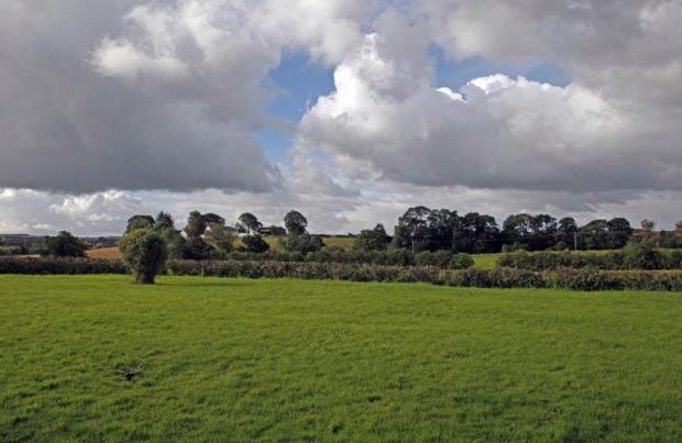Shawhill