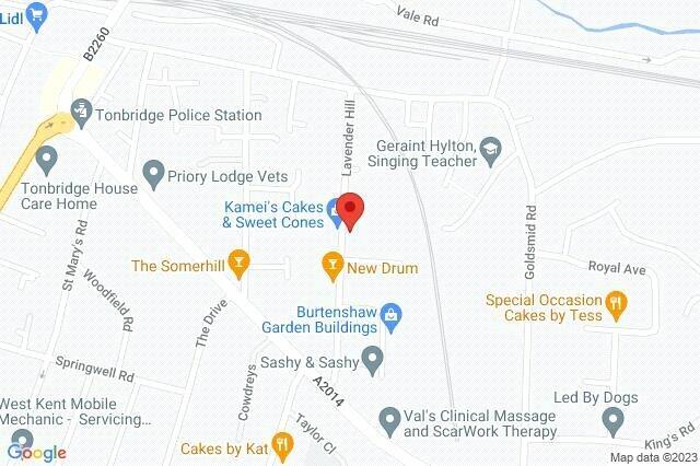 Google Maps Image