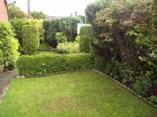 Front garden