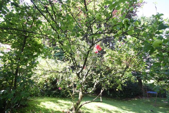 Photo 28