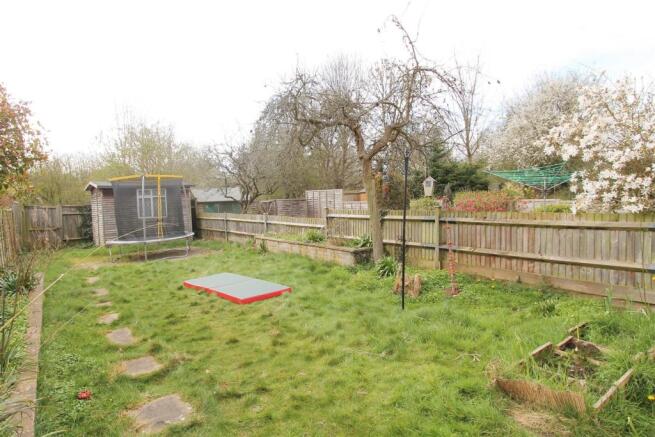 Garden.JPG