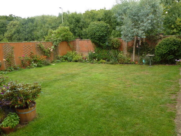Photo 5