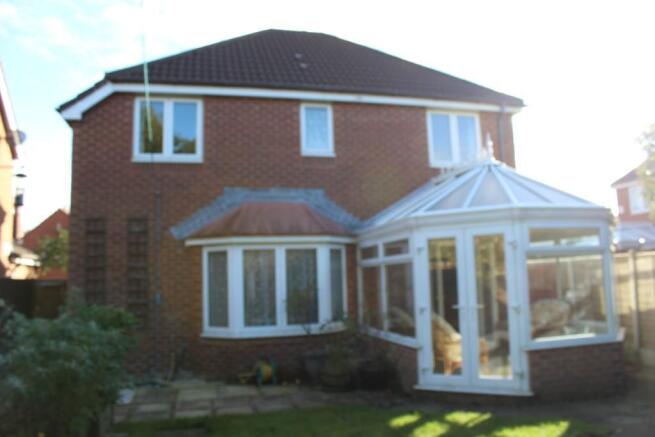 Rear Elevation