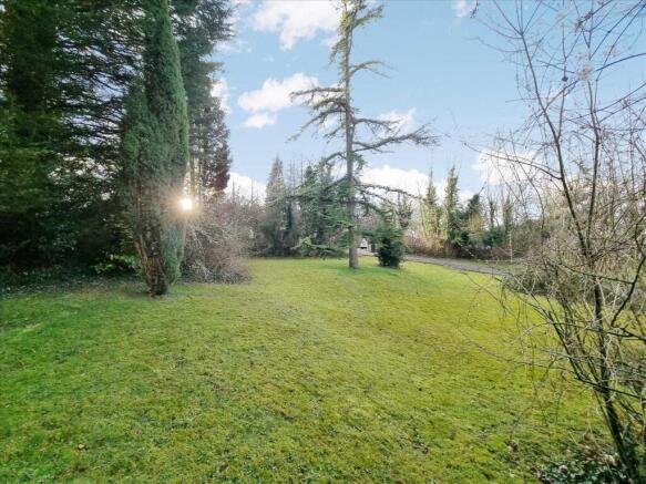 Garden continued