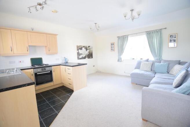 Kitchen/Dining/Lounge