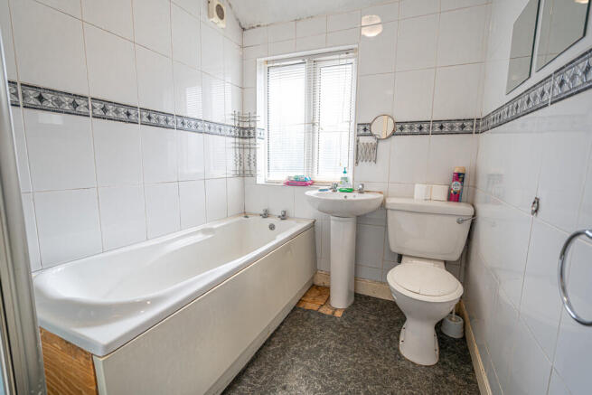 20250310-DSC03250...
