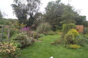 Side Garden