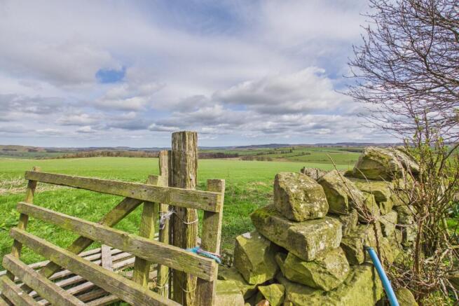 CAM04201G0-PR0161-STILL002