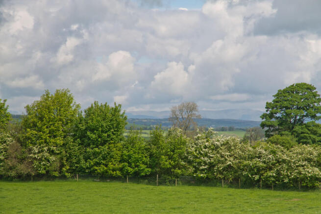 Field Views To Re...