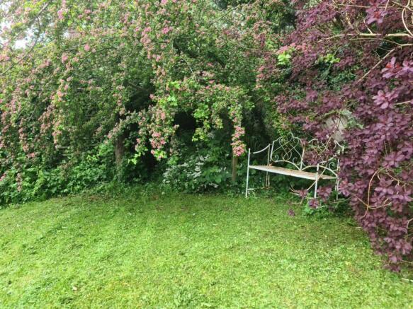 Photo 22