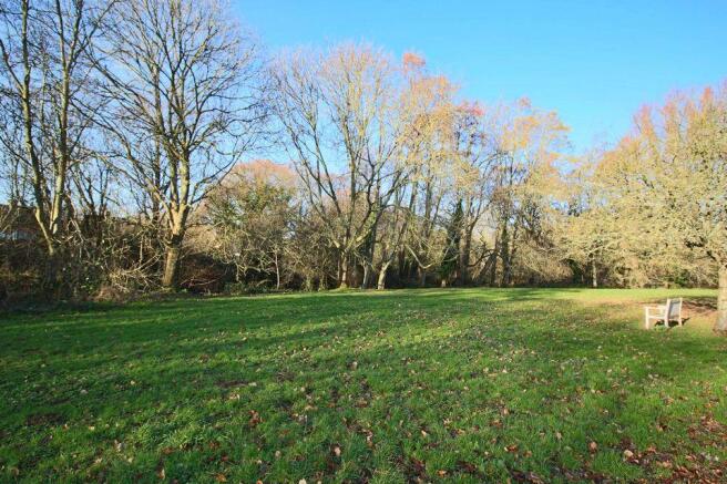 Open space near the proerty