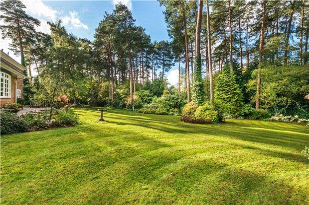 Lawn