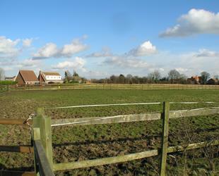 Paddocks