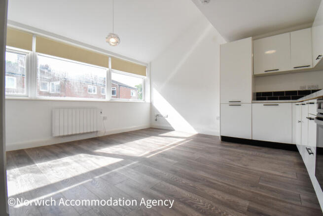 Kitchen/Lounge