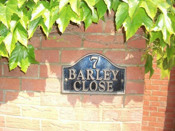 7 Barley