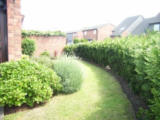 SIDE GARDEN