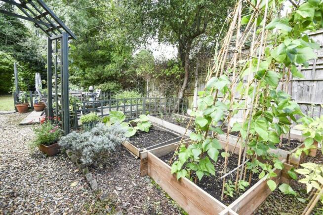 A GARDEN 3 DSC_8878.