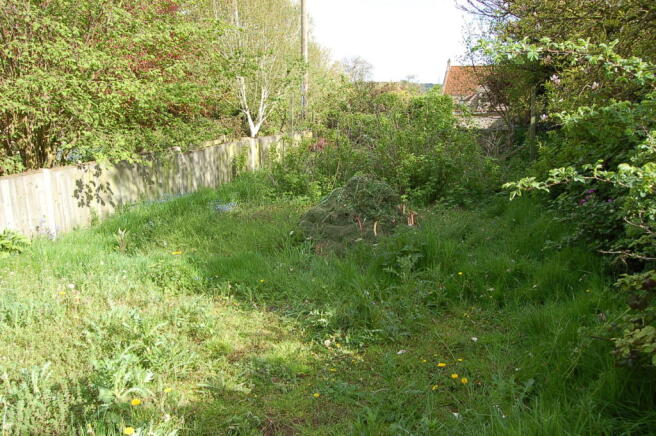 Wild Meadow