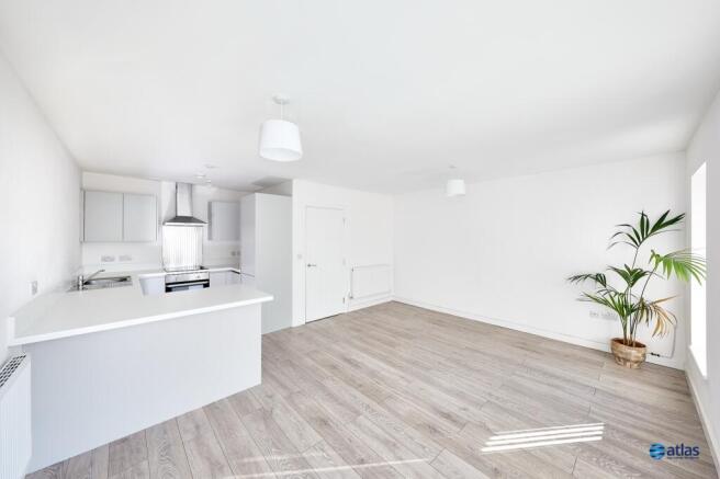 Kitchen/Dining/Living Area