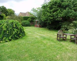 Photo 4