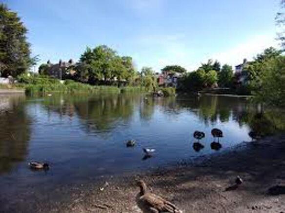 Near Chislehurst ponds