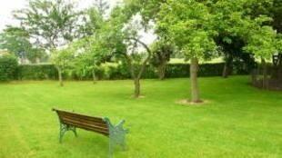 Orchard