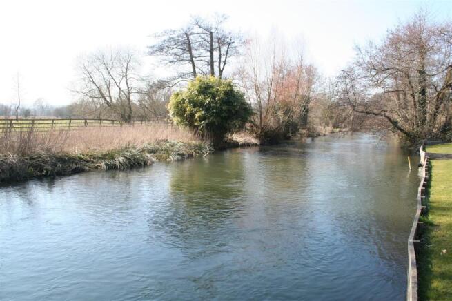 river view.jpg