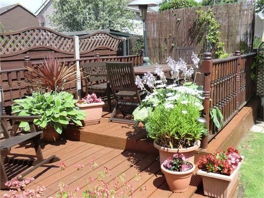 Photo6